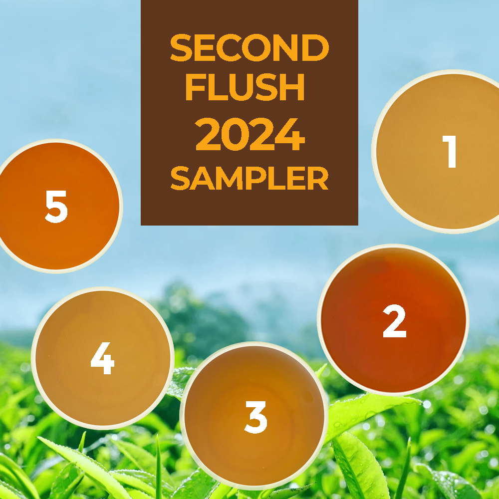 Darjeeling Second Flush 2024 Sampler Pack