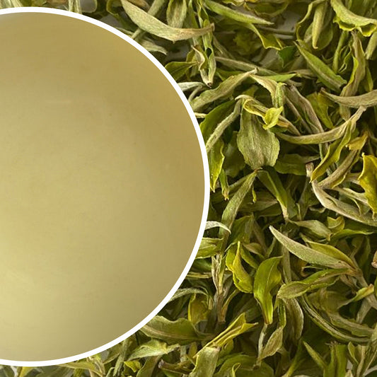 Arya - Spring Pearl Organic Darjeeling White Tea First Flush 2025