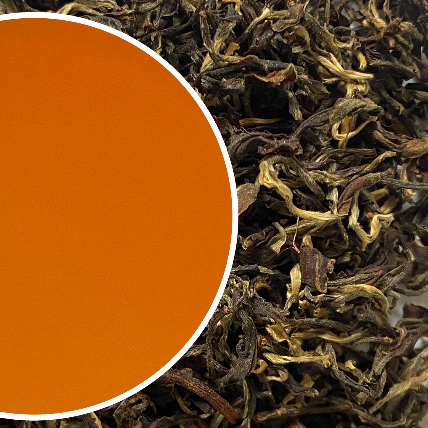 Phuguri - Tippy Clonal Majesty Darjeeling Black Tea Second Flush 2024