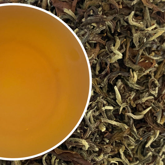 Puttabong - Moondrop Opulence Darjeeling Black Tea Second Flush 2024