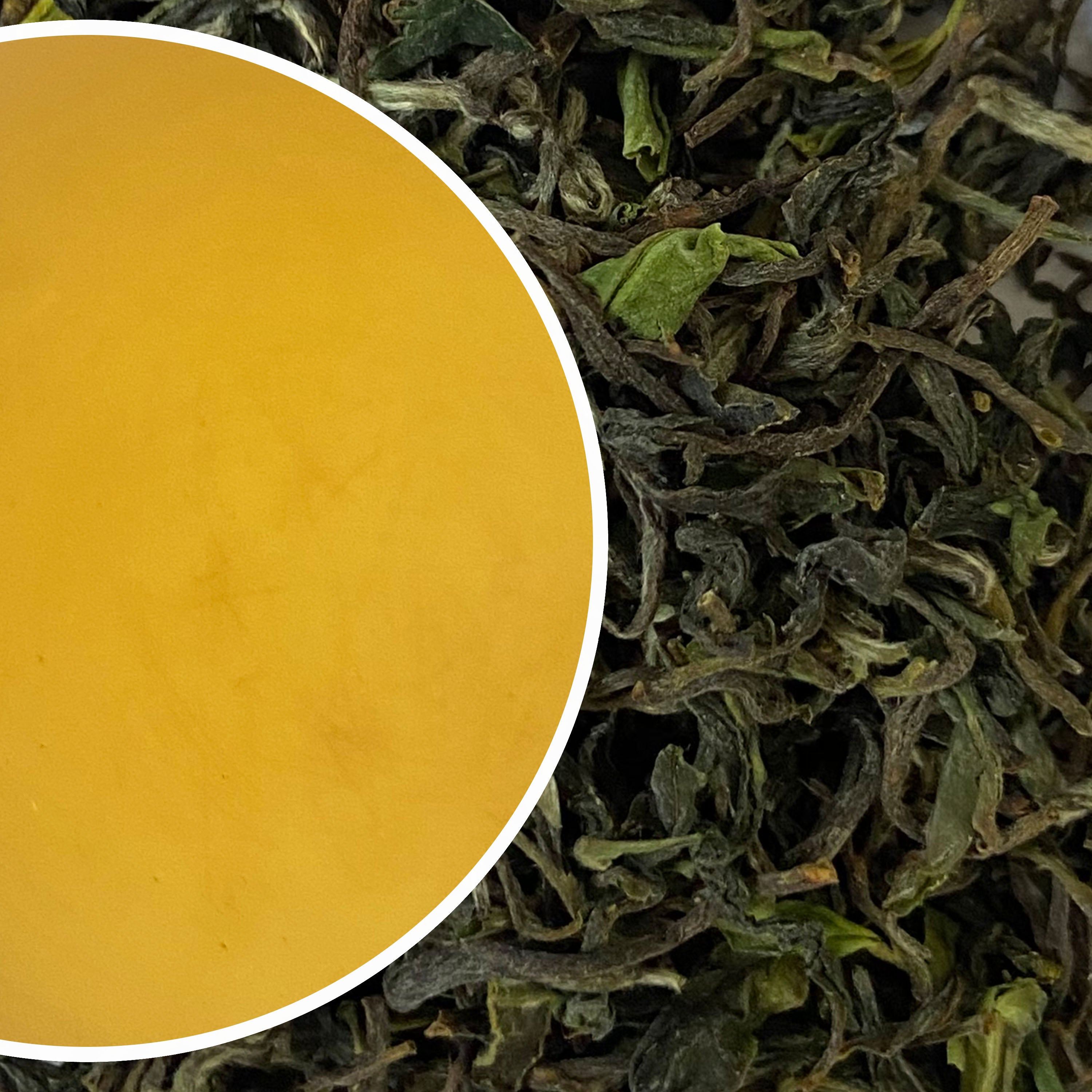 Wah - Spring Kangra Black Tea First Flush 2024 – Nathmulls of Darjeeling